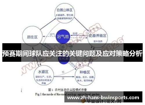 预赛期间球队应关注的关键问题及应对策略分析