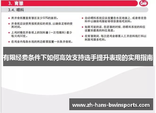 有限经费条件下如何高效支持选手提升表现的实用指南