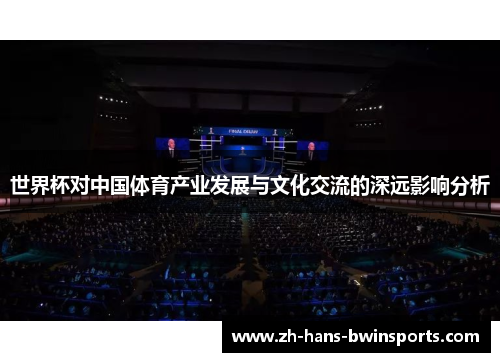 世界杯对中国体育产业发展与文化交流的深远影响分析
