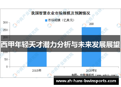 西甲年轻天才潜力分析与未来发展展望