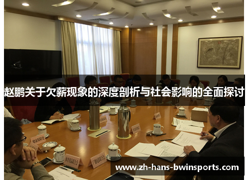 赵鹏关于欠薪现象的深度剖析与社会影响的全面探讨 赵鹏关于欠薪现象的深度剖析与社会影响的全面探讨