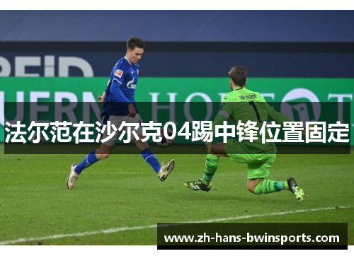 法尔范在沙尔克04踢中锋位置固定